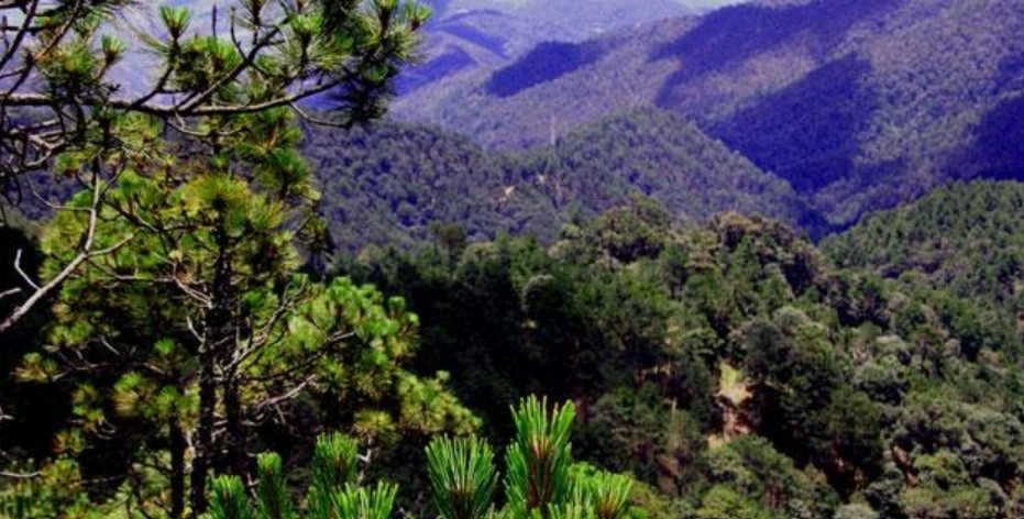 Hiking en Sierra Norte de Oaxaca: rutas, niveles, consejos