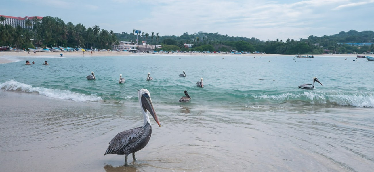 Puerto Escondido, Mazunte o Huatulco: cuál elegir